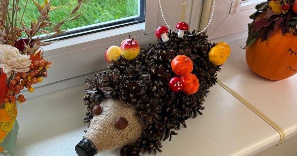 Svetainę iliustruojanti nuotrauka